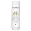 Dualsenses Rich Repair Restoring Shampoo Dualsenses by Goldwell USA